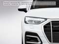 Audi Q5 40TDI quattro S-tronic Matrix Pano 360° Leder Blanc - thumbnail 8