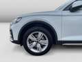 Audi Q5 40TDI quattro S-tronic Matrix Pano 360° Leder Weiß - thumbnail 5