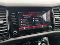 Skoda Kodiaq 1.5 TSI Sportline Business Gris - thumbnail 29
