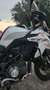 Benelli TRK 502 X Bianco - thumbnail 5