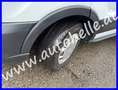 Ford Transit Doka Kasten L3H3 - 6-Sitzer - nur 43.410km Weiß - thumbnail 5