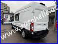 Ford Transit Doka Kasten L3H3 - 6-Sitzer - nur 43.410km Weiß - thumbnail 4