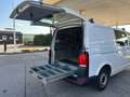 Volkswagen T6 Kombi T6.1 LR 2,0 TDI 4Motion AHK Netto: 19408.- Weiß - thumbnail 8