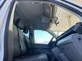 Volkswagen T6 Kombi T6.1 LR 2,0 TDI 4Motion AHK Netto: 19408.- Weiß - thumbnail 10