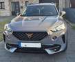 CUPRA Formentor Formentor VZ 2.0 TSI 4Drive DSG Grau - thumbnail 1
