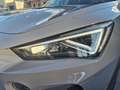CUPRA Formentor Formentor VZ 2.0 TSI 4Drive DSG Grau - thumbnail 8