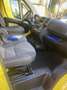 Fiat Ducato 35 2.3 MJT PM-TM ALL.TO LABORATORIO FIBRA/GIUNT Giallo - thumbnail 13
