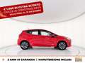 Ford Fiesta 5p 1.0 ecoboost h titanium 125cv Rosso - thumbnail 5