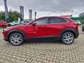 Mazda CX-30 2.5L e-SKYACTIV G 140ps Automatik Exclusiveline Rot - thumbnail 4