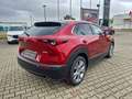 Mazda CX-30 2.5L e-SKYACTIV G 140ps Automatik Exclusiveline Rot - thumbnail 7