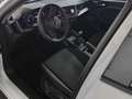 Audi A1 1.0 TFSI 95CV 25 Edition Blanc - thumbnail 8