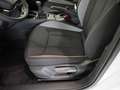 Skoda Scala Drive 1.0 TSI NAVI*MATRIX*RFK*ACC*AHK Weiß - thumbnail 20