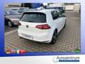 Volkswagen Golf VII 2.0 TSI GTi DSG *NAVI*XENON*DYNAUDIO* Weiß - thumbnail 4