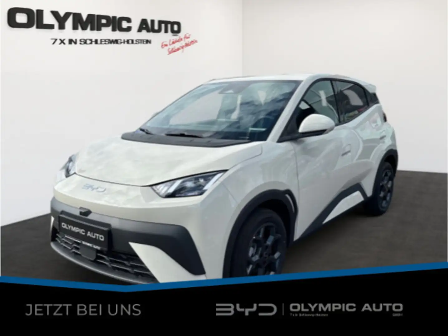BYD Dolphin Dolphin Surf Comfort 43kWh 360°KAMERA LED SITZHZ Weiß - 1