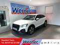 Audi Q2 Black S line 35TFSI Kamera Sonos App-Navi Weiß - thumbnail 1
