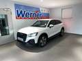 Audi Q2 Black S line 35TFSI Kamera Sonos App-Navi Weiß - thumbnail 2
