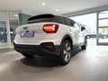 Audi Q2 Black S line 35TFSI Kamera Sonos App-Navi Weiß - thumbnail 10
