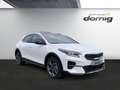 Kia XCeed 1.6 T-GDI Platinum DCT7 Weiß - thumbnail 3