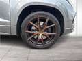 CUPRA Ateca DAB LED RFK Parkassistent AHK Klimaaut. Grijs - thumbnail 9