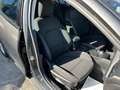 Ford Focus 1.5 EcoBlue 120 CV automatico SW Business Co-Pilot Grau - thumbnail 13