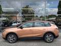 Opel Grandland X Grandland Edition MHEV 145 AHK ACC Intelli-LED Marrón - thumbnail 3