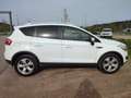 Ford Kuga Kuga 2.0 TDCi 4x4 Aut. Titanium White - thumbnail 1