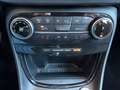 Ford Puma 1.0 HYBRID 125 Titanium |Winter-Paket|GJR| Bleu - thumbnail 26