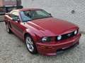 Ford Mustang GT/CS 4.6L V8 Lichte vracht Rood - thumbnail 4