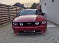 Ford Mustang GT/CS 4.6L V8 Lichte vracht Rood - thumbnail 3