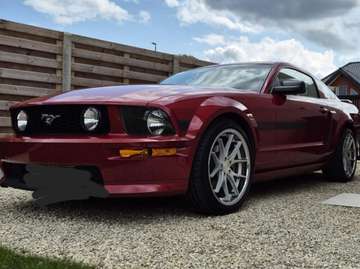 GT/CS 4.6L V8 Lichte vracht