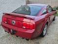 Ford Mustang GT/CS 4.6L V8 Lichte vracht Rood - thumbnail 5