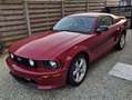 Ford Mustang GT/CS 4.6L V8 Lichte vracht Rood - thumbnail 2