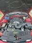 Ford Mustang GT/CS 4.6L V8 Lichte vracht Rood - thumbnail 11