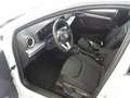 SEAT Ibiza 1.5TSI DSG FR Beats ACC Cam LED Navi Sitzh Weiß - thumbnail 5