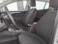 Ford Focus Focus 2.0 EcoBlue Titanium S/S LED+NAVI+SHZ+RFK+ Blanc - thumbnail 15