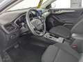 Ford Focus Focus 2.0 EcoBlue Titanium S/S LED+NAVI+SHZ+RFK+ Blanc - thumbnail 14