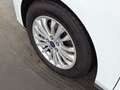 Ford Focus Focus 2.0 EcoBlue Titanium S/S LED+NAVI+SHZ+RFK+ Blanc - thumbnail 10