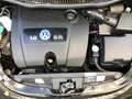 Volkswagen Beetle Schwarz - thumbnail 11
