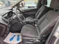 Ford B-Max 1.4 Business  Titanium Gpl 90cv Bronzo - thumbnail 11