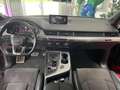 Audi Q7 3.0 TDI quattro S-Line BLACK PACK 22 Zoll Noir - thumbnail 13
