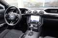 Ford Mustang 5.0 V8 GT/Recaro/Sitzheizung/KAMERA/R20 Gris - thumbnail 18