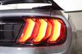 Ford Mustang 5.0 V8 GT/Recaro/Sitzheizung/KAMERA/R20 Gris - thumbnail 7