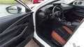 Mazda CX-30 2025 2.5L e-SKYACTIV G 140ps 6AT 2WD N Weiß - thumbnail 5