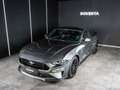 Ford Mustang Mustang GT 5.0 Ti-VCT V8 Fastbac *SYNC3*KAMERA*B&O - thumbnail 2