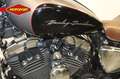 Harley-Davidson XL 1200 C Sportster Bruin - thumbnail 7