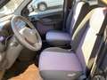 Fiat Panda 1.2 Climbing Natural Power Grau - thumbnail 5
