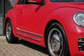 Volkswagen Beetle 1.2 TSI Exclusive Series Denim ✅ Panodak ✅ Navigat Rouge - thumbnail 7