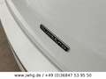 Audi Q5 40 quattro S-Line+Ext BLACK/NAVI/LED/20" Weiß - thumbnail 7