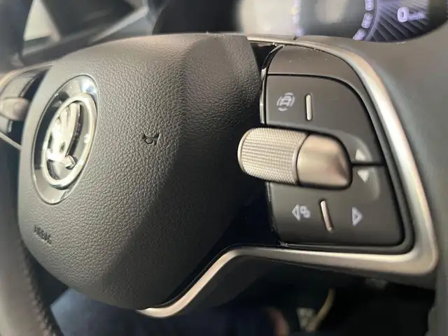 Skoda Scala view 15