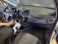 Fiat Punto 1.3 MJT II 75 CV 5 porte Lounge Alb - thumbnail 13
